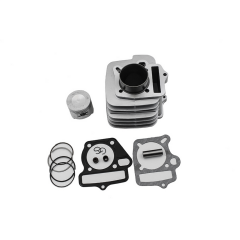 DELTAFORCE 100KM SILINDIR (100CC) (13P-50X72.5/GUMUS) #Y4DLT0040A0002