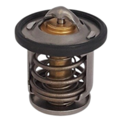 NS200 TERMOSTAT