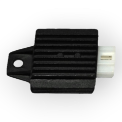 DELTAFORCE SFC 100 (BASICX) REGULATOR #Y4DLT0710A0009
