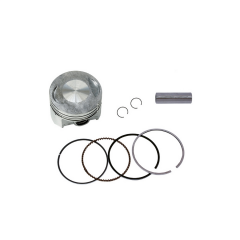 DELTAFORCE Z-ONE PISTON GRUBU 250CC 67.0 ZONG PLATINUM16p #Y4DLT0150A0165