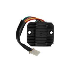 DELTAFORCE 100KM REGULATOR