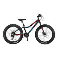 FXC 500 - 20'' MTB - 11'' - 21 Vites - M.DISC - Mat Siyah-Kırmızı/Mavi
