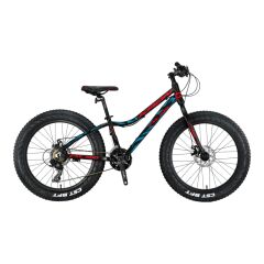 FXC 500 - 20'' MTB - 11'' - 21 Vites - M.DISC - Mat Siyah-Kırmızı/Mavi #KRN21-587