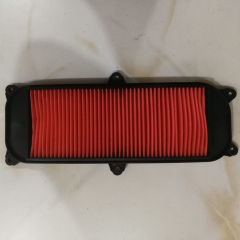KYMCO HAVA FILTRE ELEMANI (KYM 200PEOPLE)