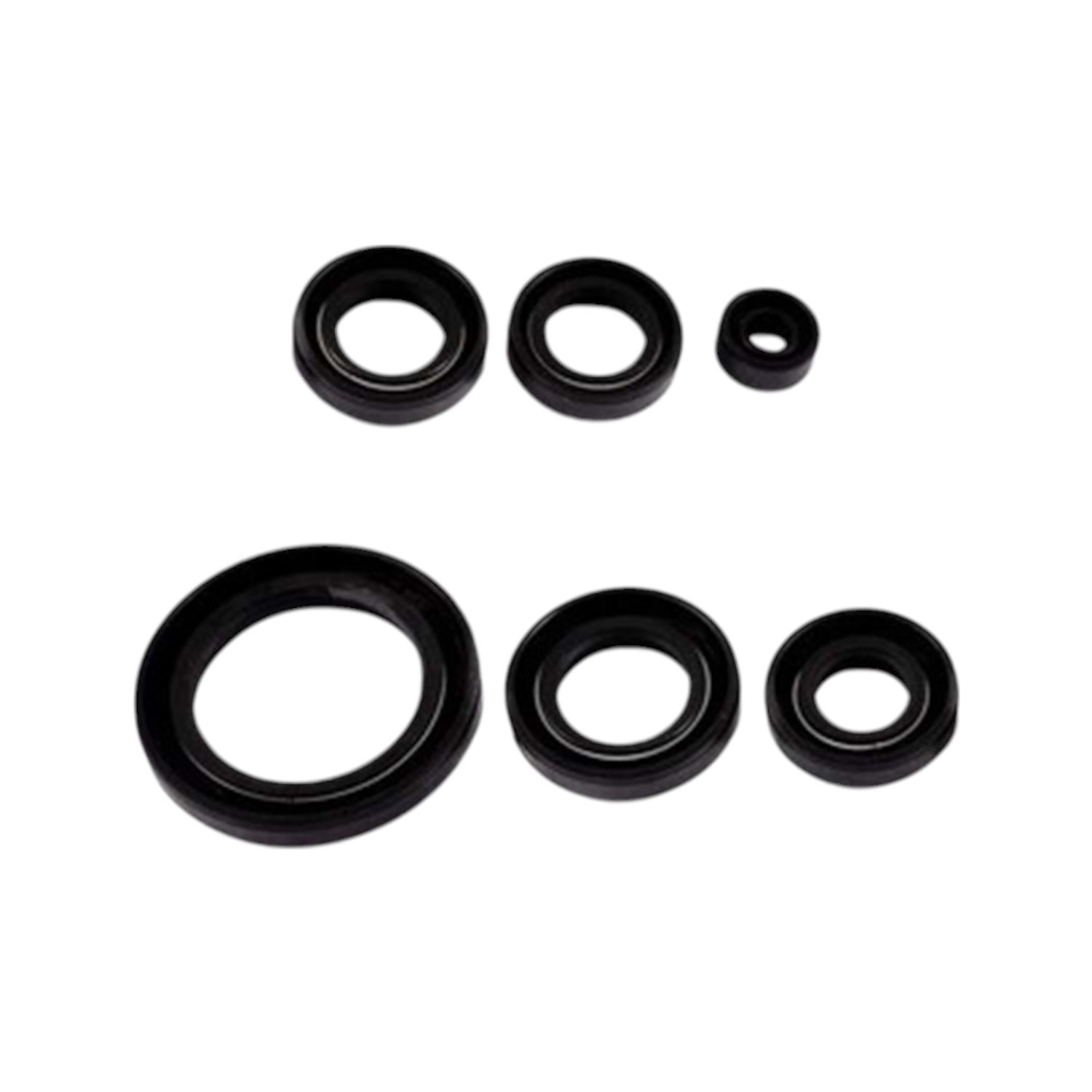CUP 100 MOTOR KEÇE TAKIMI 6 LI #100587