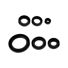 CUP 100 MOTOR KEÇE TAKIMI 6 LI #100587