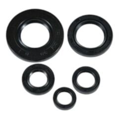 YBR 125 KEÇE TAKIMI OEM #Ç22002